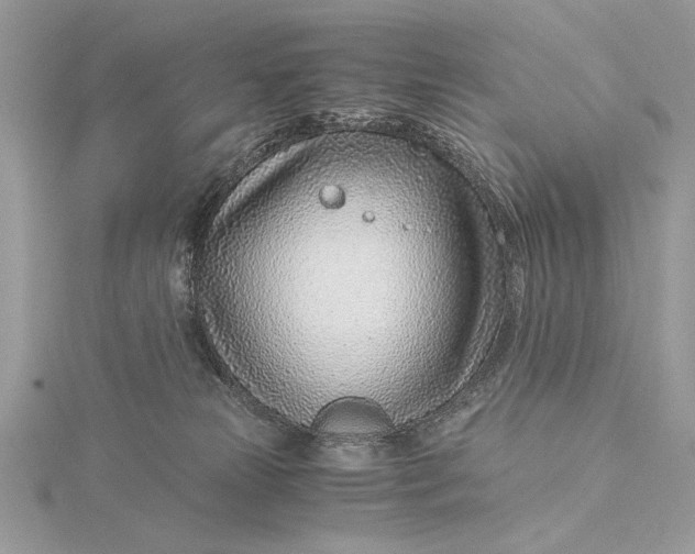 X0000115820181200912041634