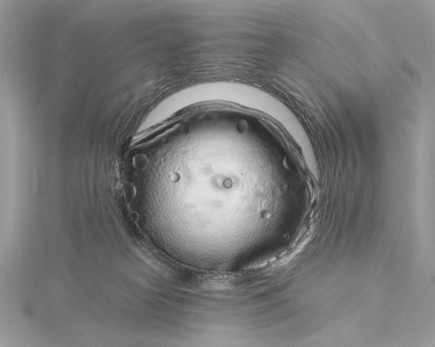 X0000115820182200912041634