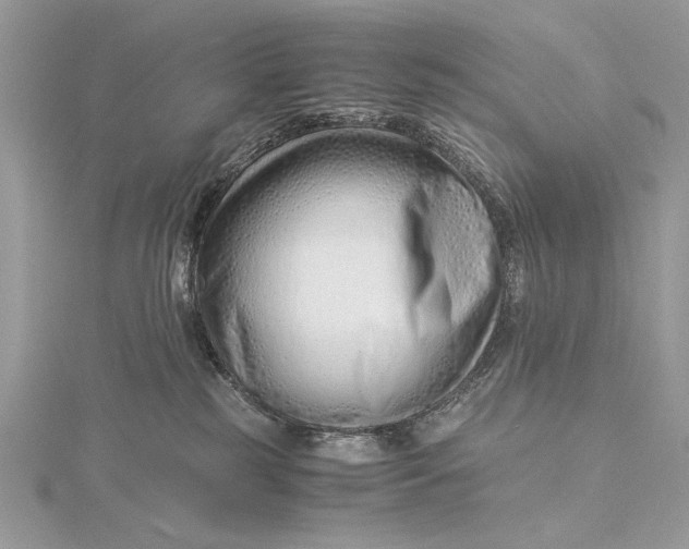 X0000115820185200912041635