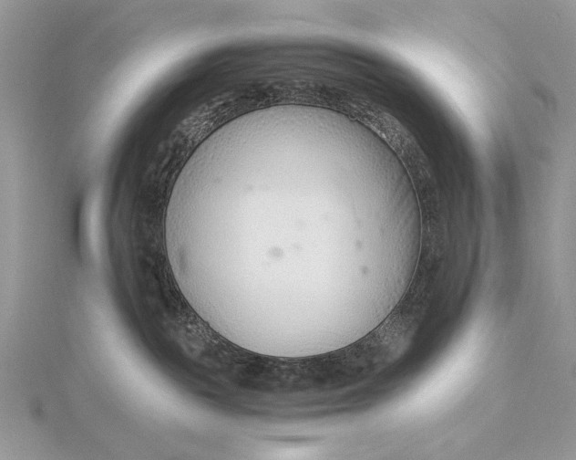 X0000115820189200912041635