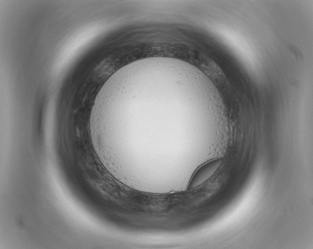 X0000115820191200912041635