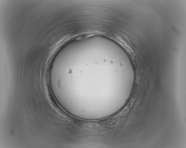 X0000115820193200912041634