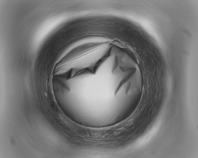 X0000115820194200912041634