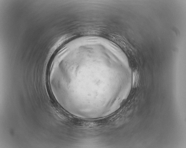 X0000115820195200912041634