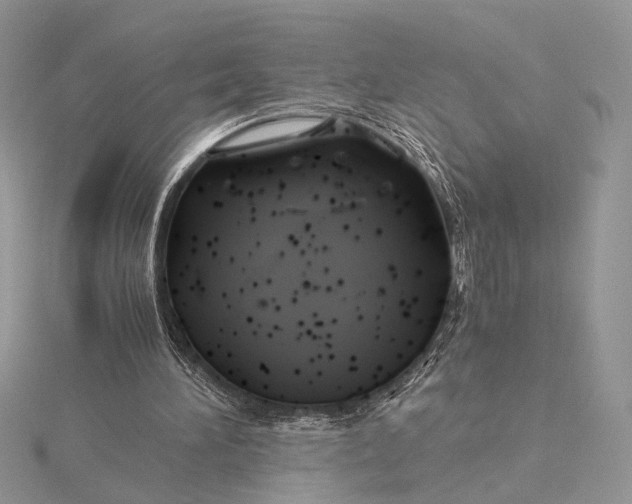 X0000115820196200912041634