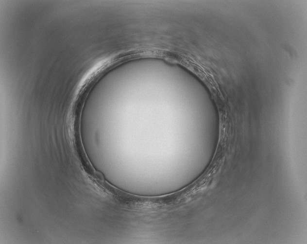 X0000115820197200912041634