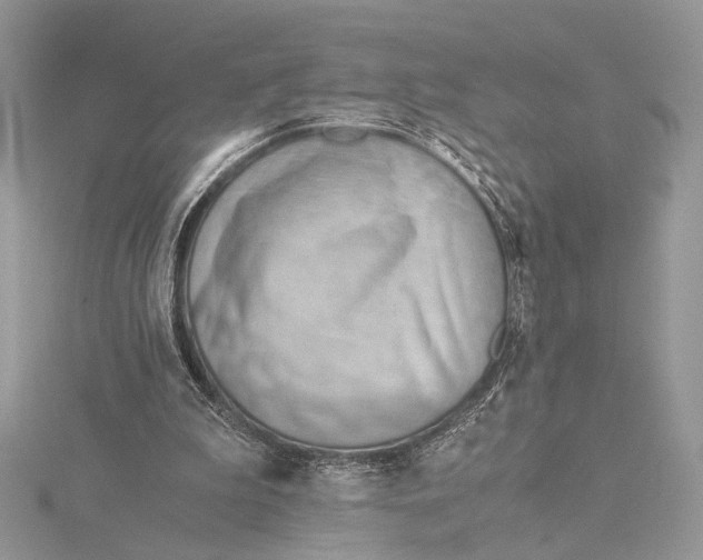 X0000115820199200912041634