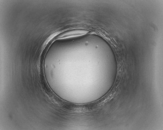 X0000115820200200912041634