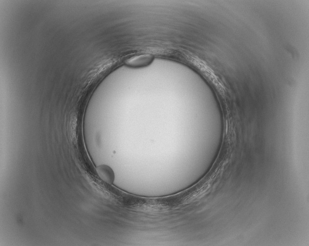 X0000115820201200912041634