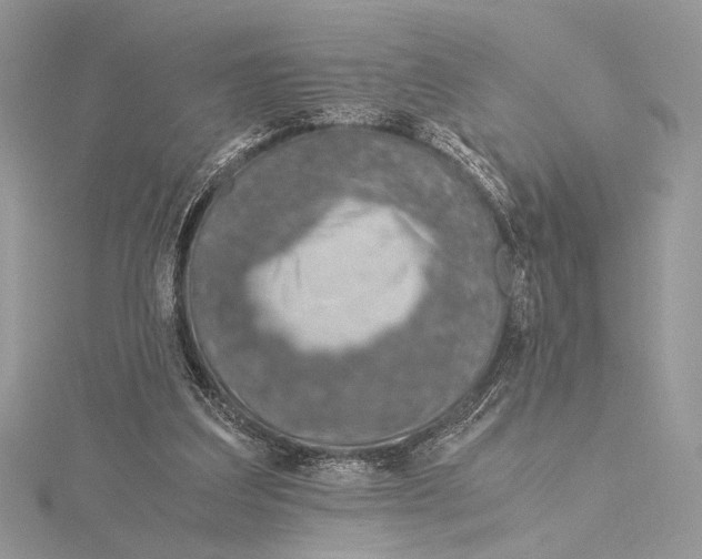 X0000115820203200912041634