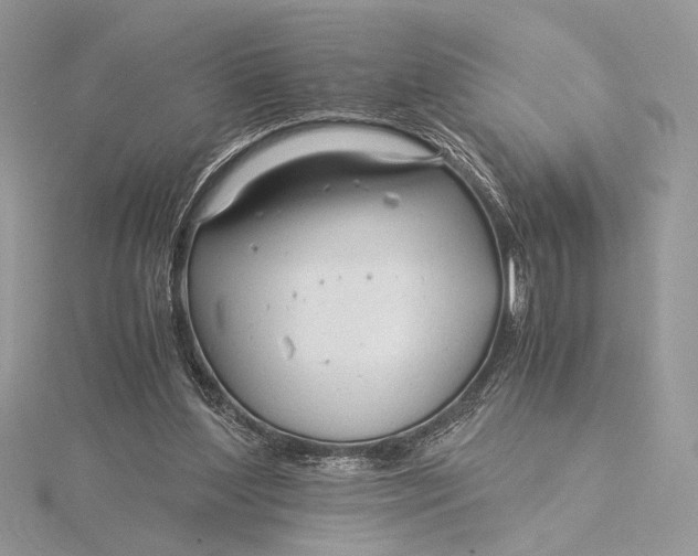 X0000115820204200912041634