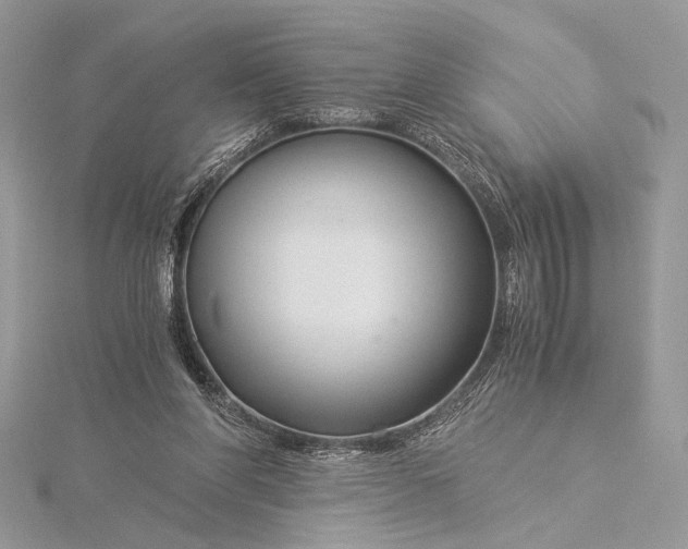 X0000115820206200912041634