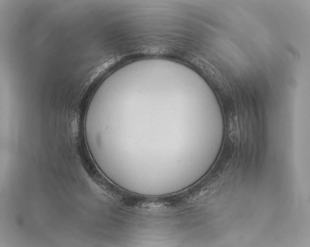 X0000115820208200912041634