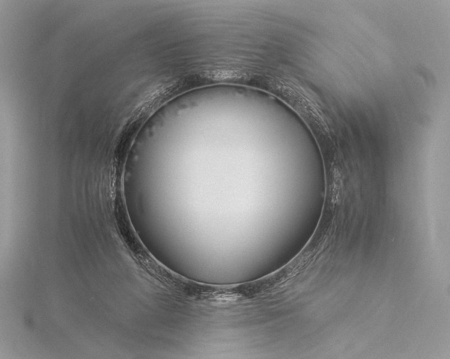 X0000115820210200912041634