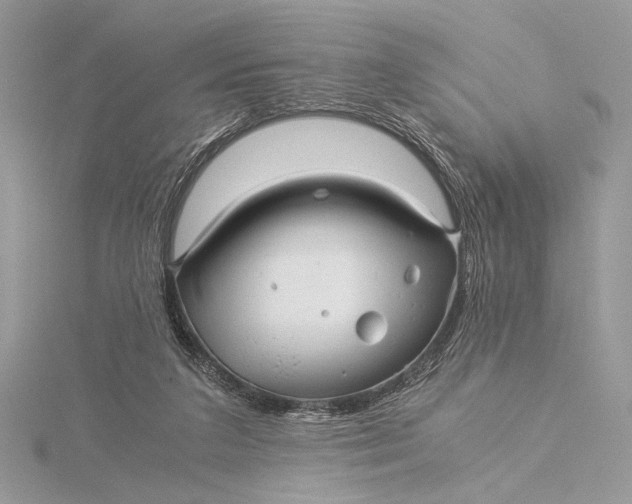 X0000115820211200912041634