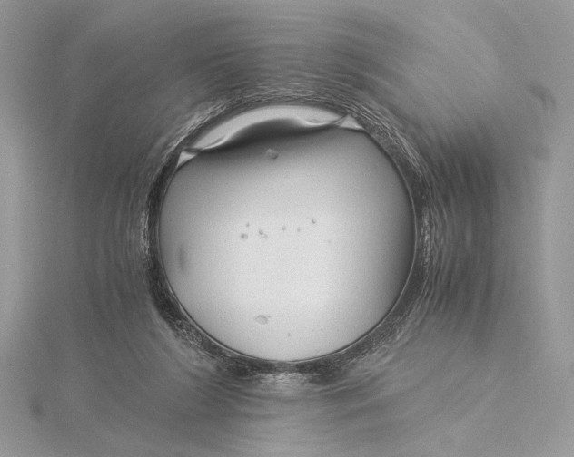 X0000115820212200912041634