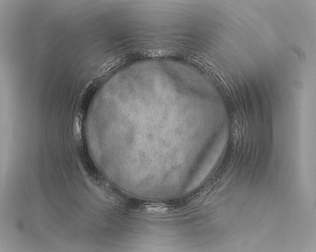 X0000115820214200912041634