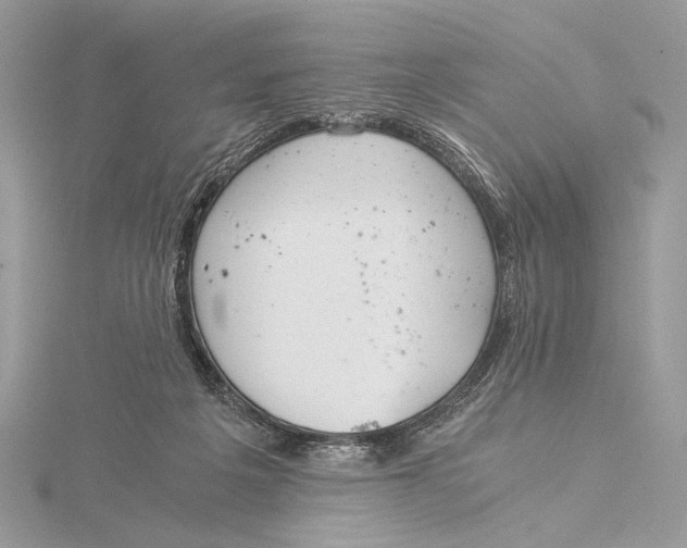 X0000115820217200912041634