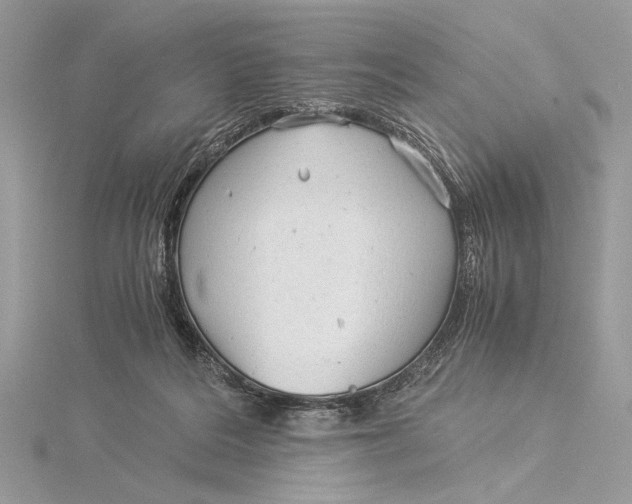 X0000115820220200912041634