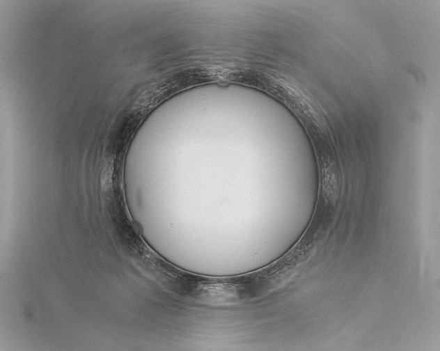 X0000115820221200912041634