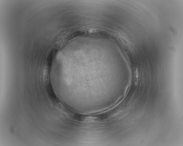 X0000115820222200912041634