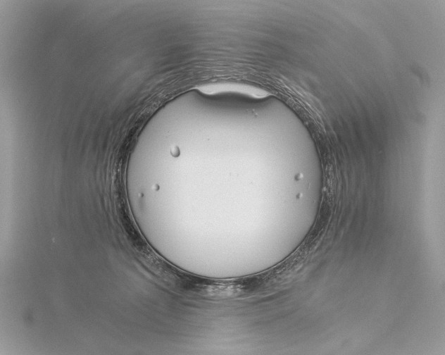 X0000115820225200912041634