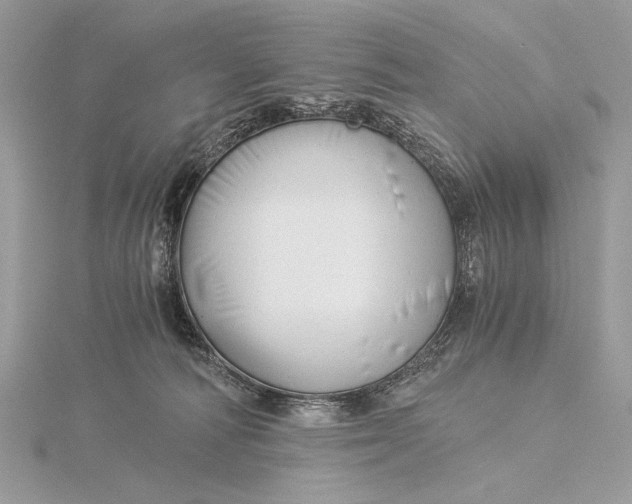 X0000115820226200912041634