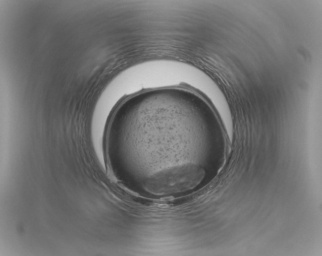 X0000115820227200912041634