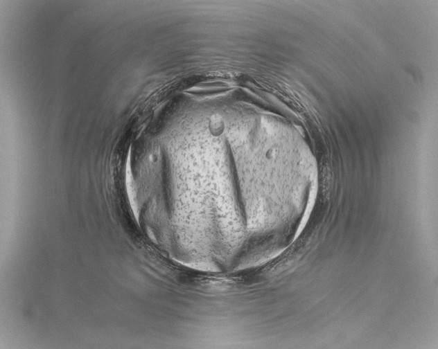 X0000115820229200912041634