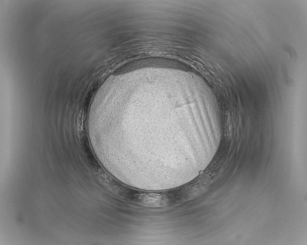 X0000115820230200912041634