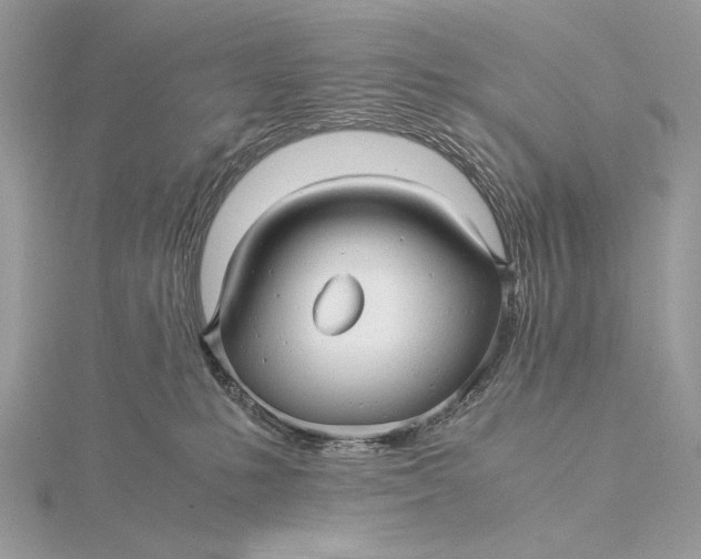 X0000115820231200912041634