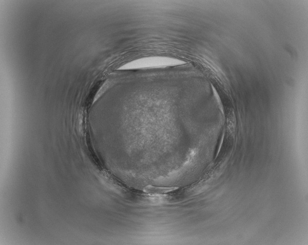 X0000115820233200912041633