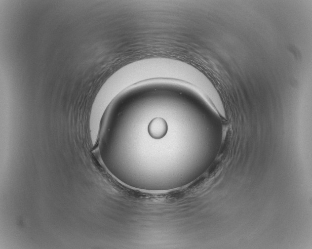 X0000115820235200912041633