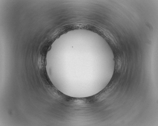 X0000115820236200912041633