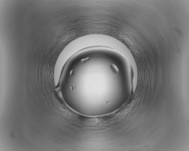 X0000115820237200912041633