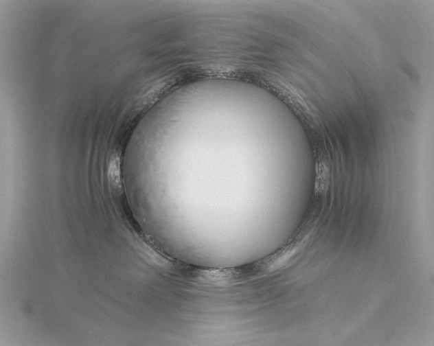 X0000115820238200912041633