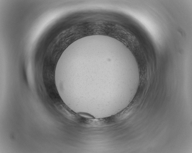 X0000115820239200912041633