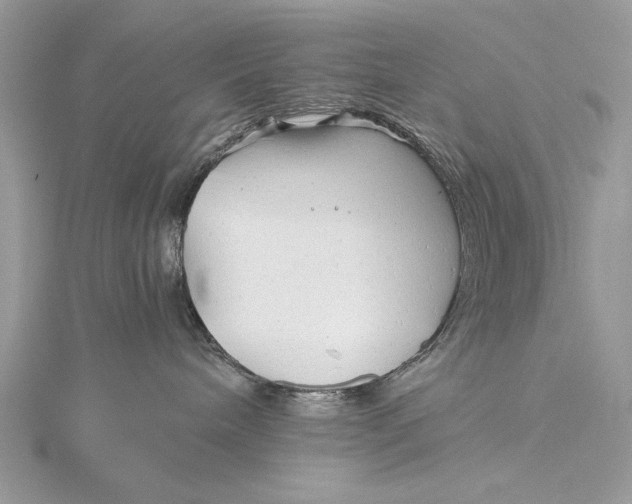 X0000115820240200912041633