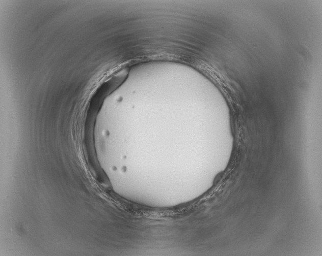 X0000115820241200912041633