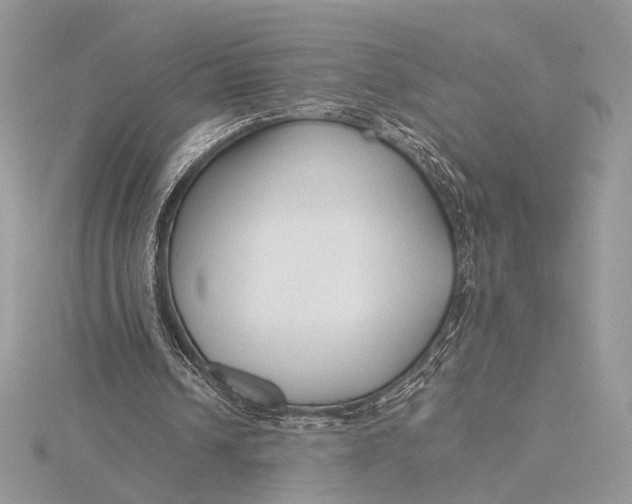 X0000115820242200912041633