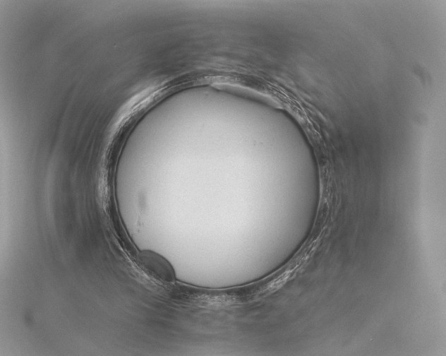 X0000115820245200912041633