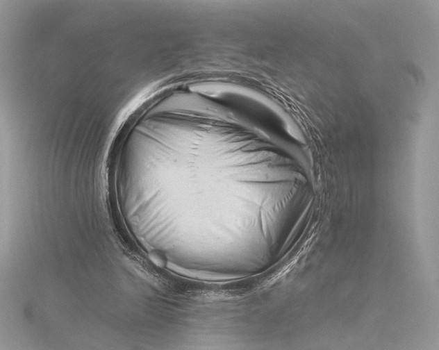 X0000115820246200912041633