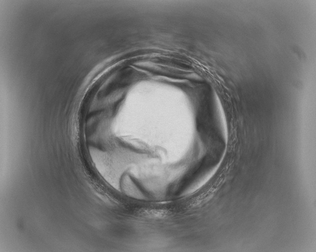 X0000115820247200912041633