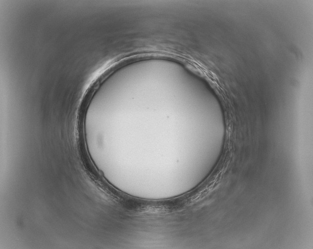 X0000115820248200912041633