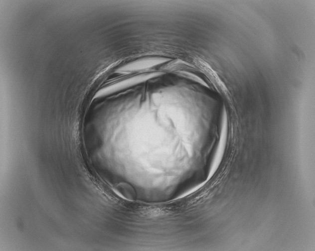 X0000115820249200912041633