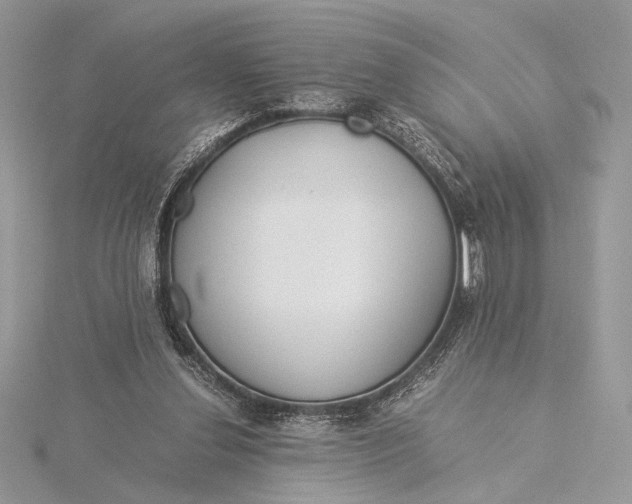 X0000115820252200912041633