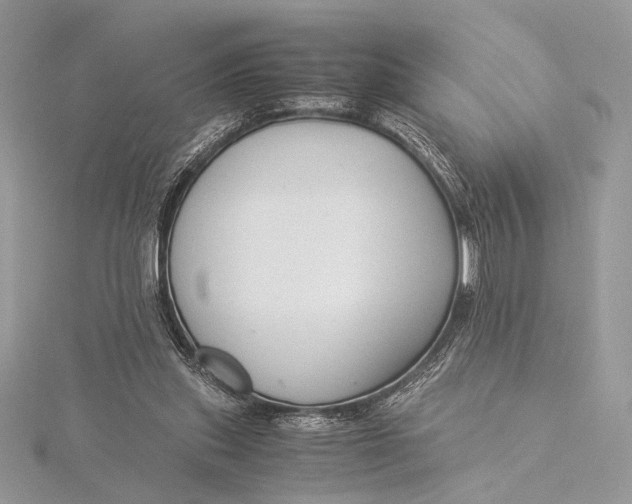 X0000115820253200912041633