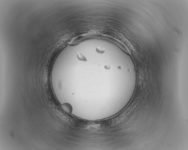 X0000115820257200912041633