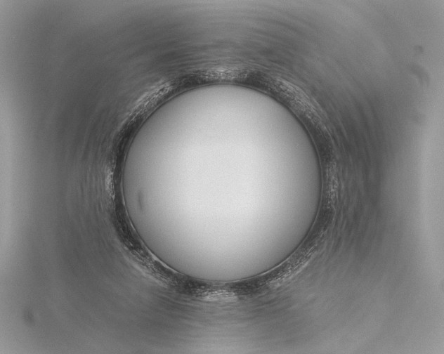 X0000115820258200912041633