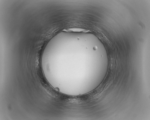 X0000115820259200912041633